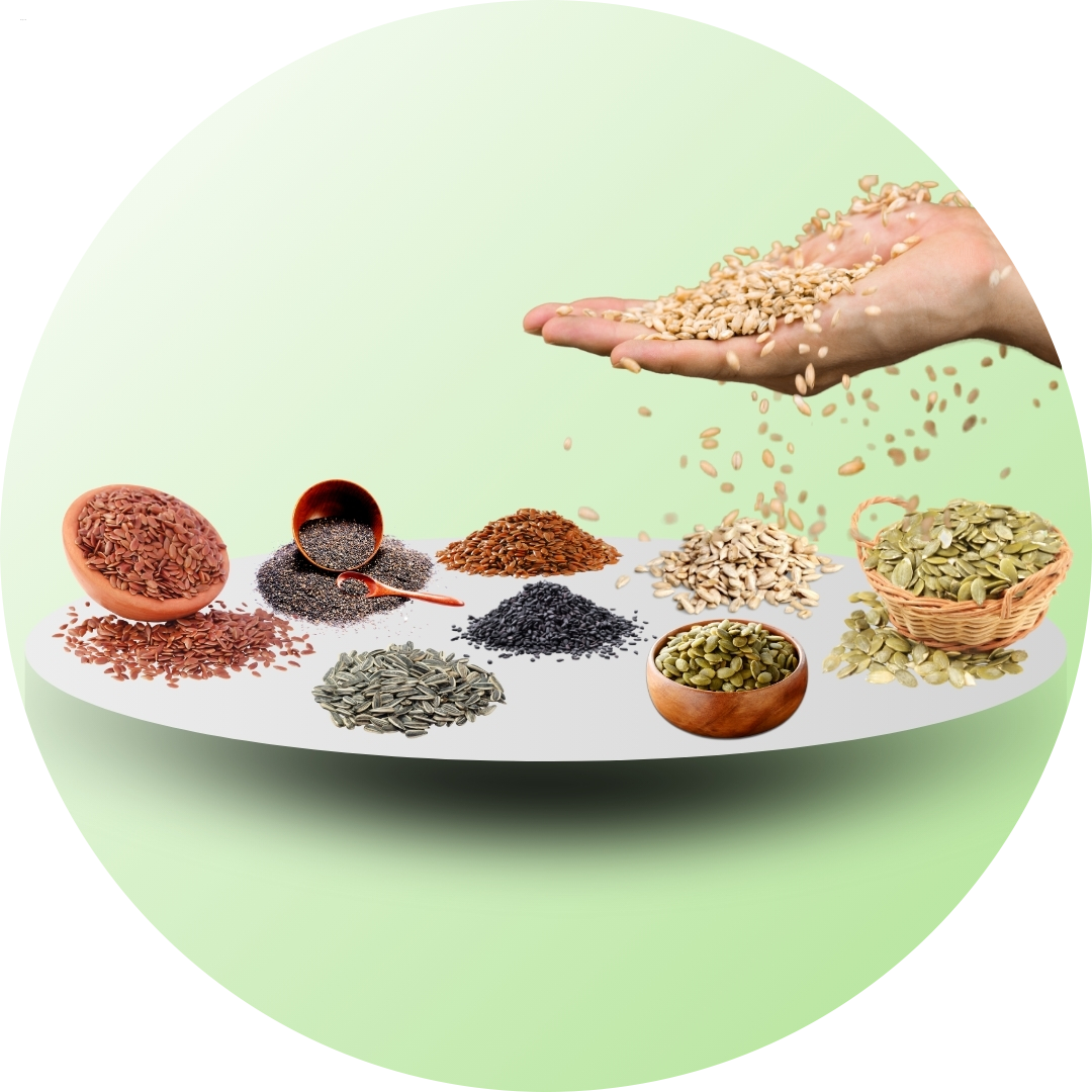 Seeds (বীজ)