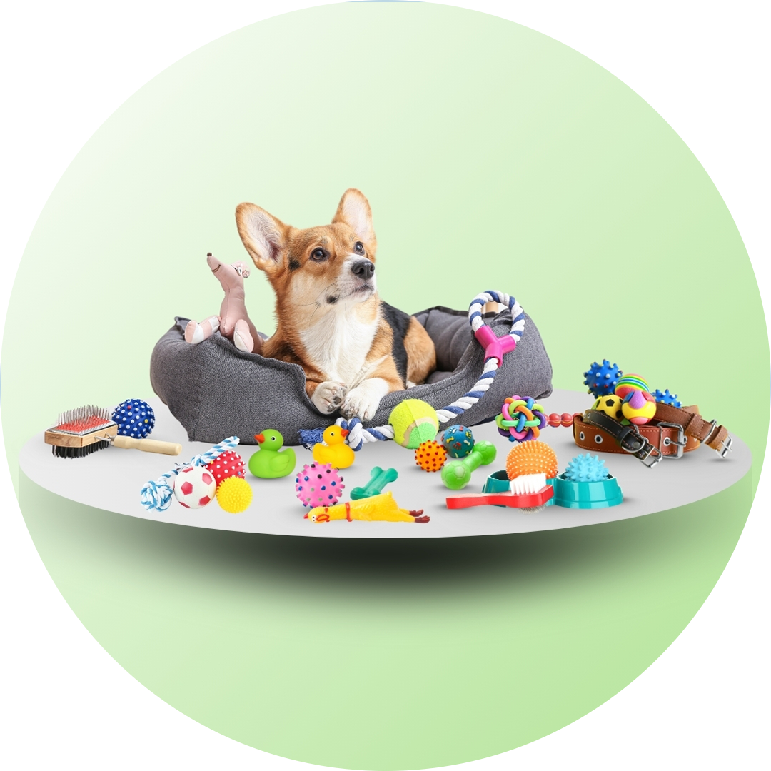Pet Accessories (পোষা প্রাণীর জিনিসপত্র)